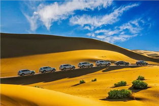 網(wǎng)通社汽車 赤峰眾匯上汽大眾