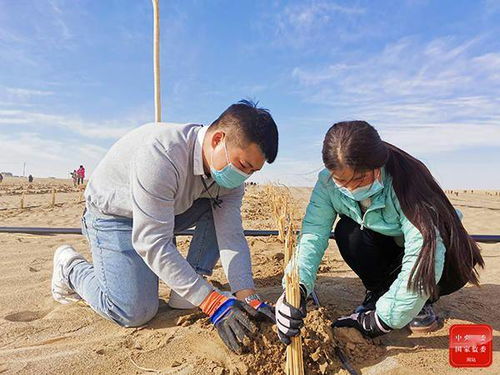 鏡頭 建設(shè)綠色家園