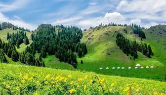 去過南山好多回,這些地方風景如畫,但你都能叫上名字嗎